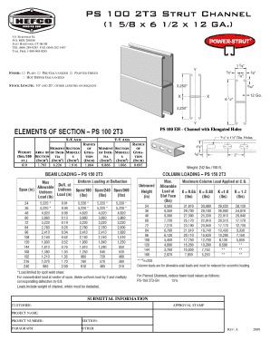 PS 100 Strut Channel Order Form