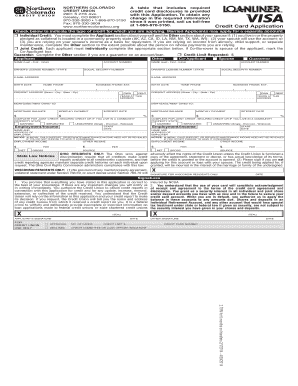 Visa Classic Credit Card Application