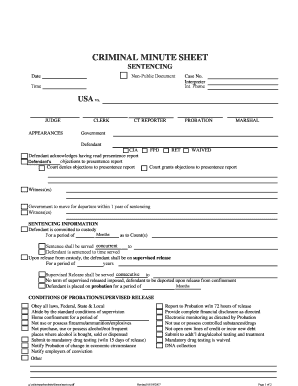 Criminal Sentencing Minute Sheet