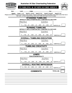 All Star Cheer Judges Score Sheet