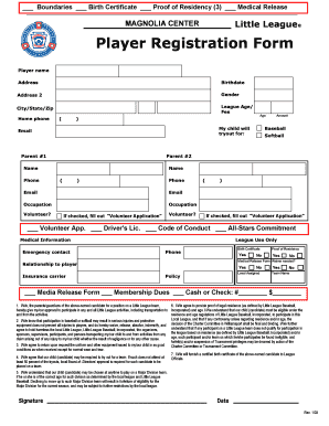 Little League Player Registration Form