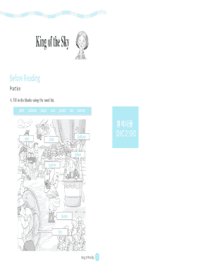 King of the Sky Hot-Air Balloon Activity Worksheet