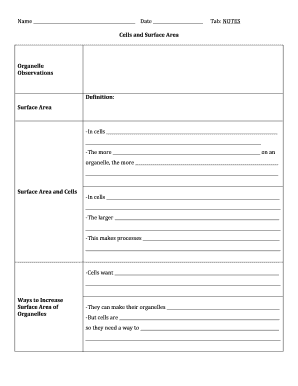 Cell Surface Area Worksheet