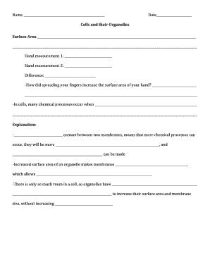Cells and Organelles Worksheet
