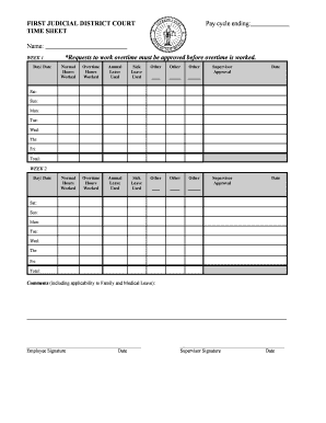 First Judicial District Court Time Sheet