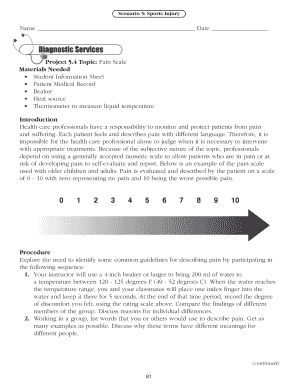 Pain Scale Assessment Form