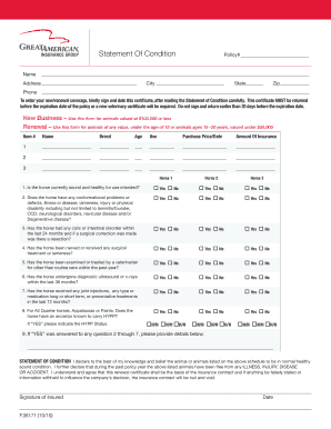 Horse Insurance Statement of Condition