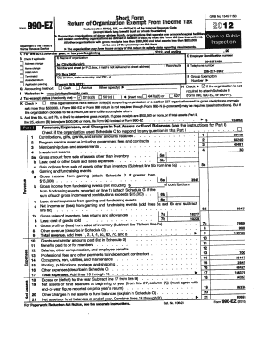 Form 990-EZ Return of Organization Exempt From Income Tax