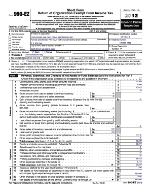 Form 990-EZ 2012
