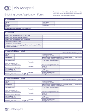 Bridging Loan Application Form