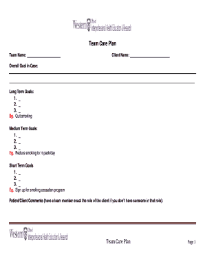 Team Care Plan Template