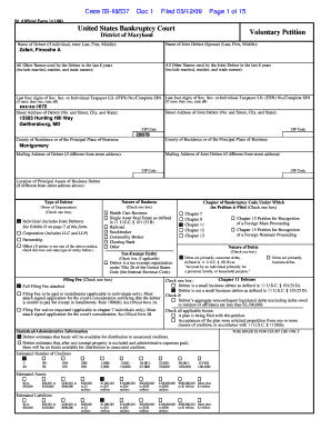 US Bankruptcy Court Voluntary Petition