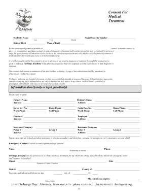 Minor Medical Treatment Consent Form