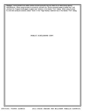 IRS Form 990 2013
