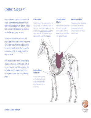 Saddle Fit Measurement Form