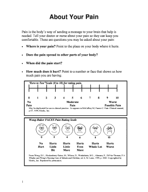Pain Assessment Form