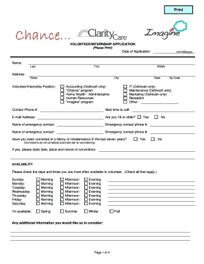 Volunteer Internship Application Form