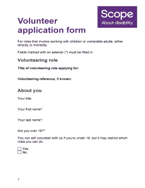 Volunteer Application Form for Roles with Children or Vulnerable Adults
