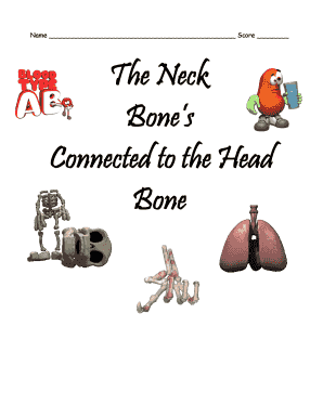Human Anatomy Worksheet
