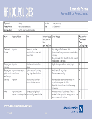 Formal Risk Assessment Form