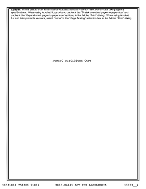 IRS Form 990 2010