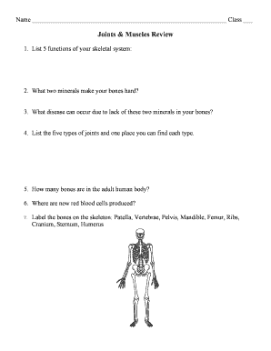 Joints and Muscles Review Worksheet
