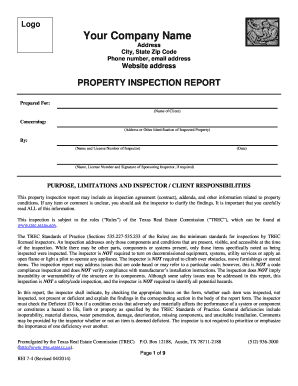 Texas Property Inspection Report
