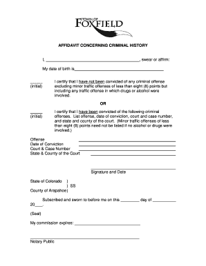 Affidavit Concerning Criminal History