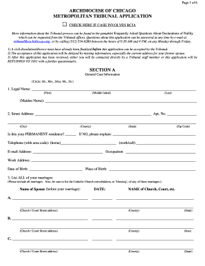 Archdiocese of Chicago Tribunal Application