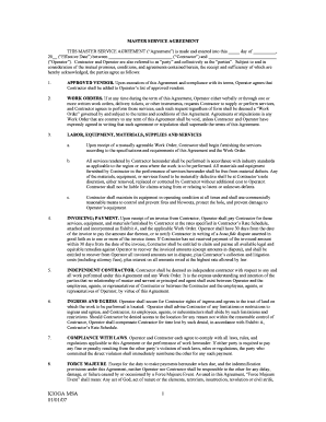 Master Service Agreement