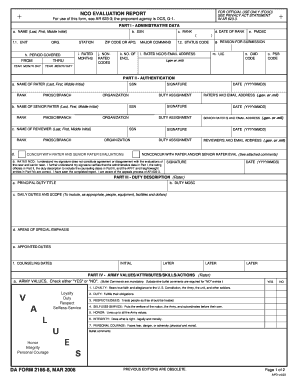 NCO Evaluation Report