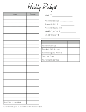 Weekly Budget Form