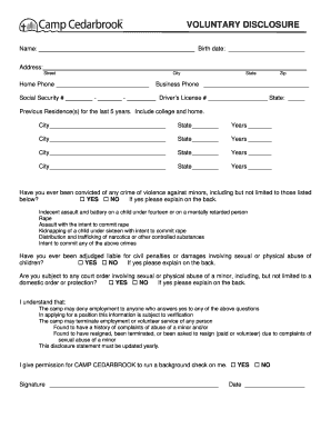 Voluntary Disclosure Form for Camp Employment