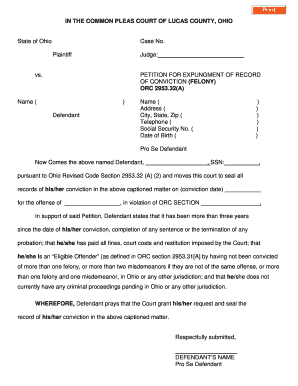 Petition for Expungement of Felony Conviction