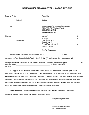Petition for Expungement of Misdemeanor Record