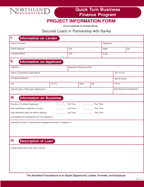 project report for bank loan pdf