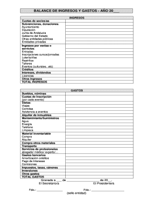 Balance de ingresos y gastos - Año 20__