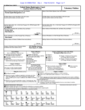 US Bankruptcy Court Voluntary Petition