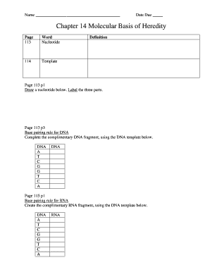Molecular Basis of Heredity Worksheet