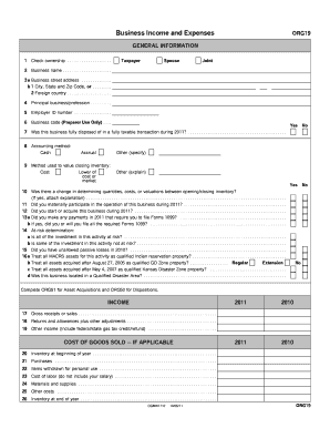 Business Income and Expenses Form ORG19
