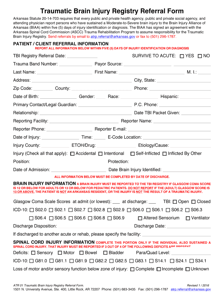Fillable Online Traumatic Brain Injury Registry bReferral Formb ...