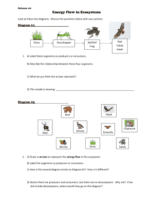 Science Worksheet Energy Flow in Ecosystems