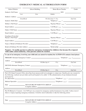 Emergency Medical Authorization Form