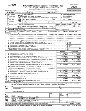 Form 990 2008
