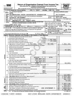 Form 990 Tax Exempt Organization Return
