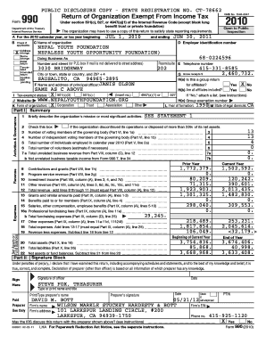 IRS Form 990 2010