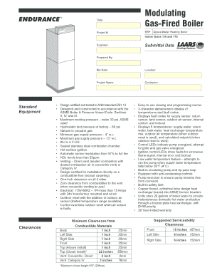 Modulating ENDURANCETM Gas-Fired Boiler