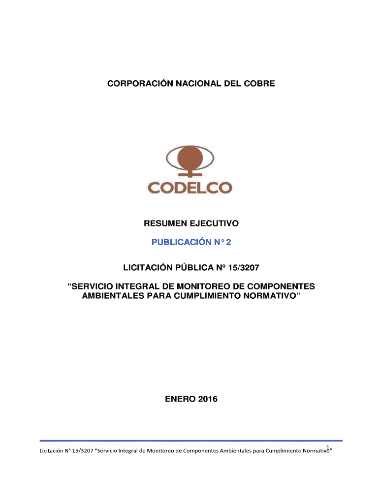 Resumen Ejecutivo Lic 15-3207 Publicacin N 2 Vista previa en la página 1
