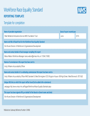 Workforce Race Equality Standard Reporting Template