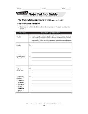 Male Reproductive System Note Taking Guide